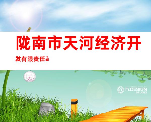 陇南市天河经济开发有限责任公司